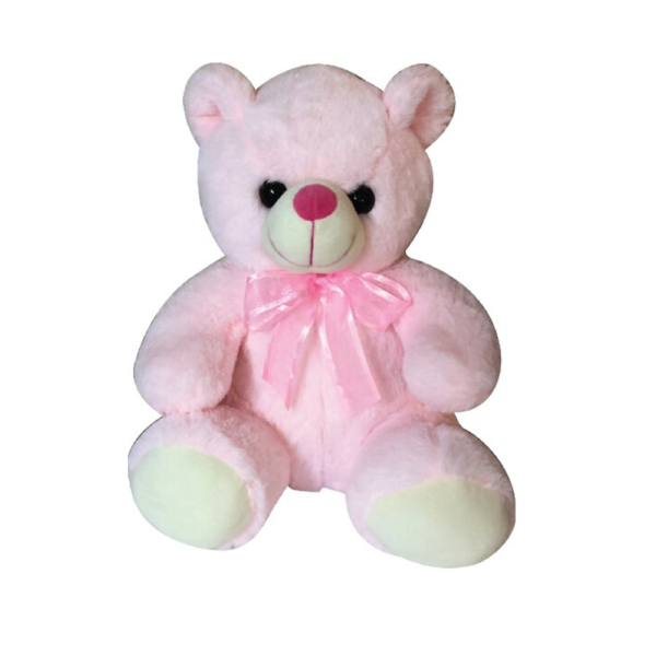 Teddy Bear (Pink) 30 CM