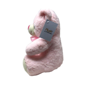Teddy Bear (Pink) - 42 CM